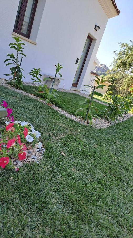 סנט אנטוניו די גאלורו B&B La Chintina מראה חיצוני תמונה
