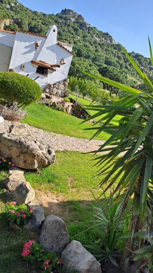 סנט אנטוניו די גאלורו B&B La Chintina מראה חיצוני תמונה